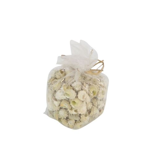 Muscheln Astrea 750gr Calcar Natur