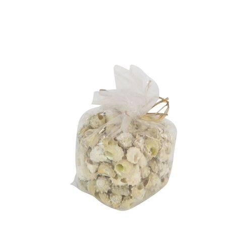 Muscheln Astrea 750gr Calcar natur
