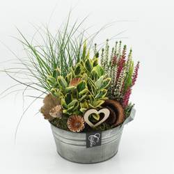 Garten.Arr-2511 Allerheiligen T23 H035