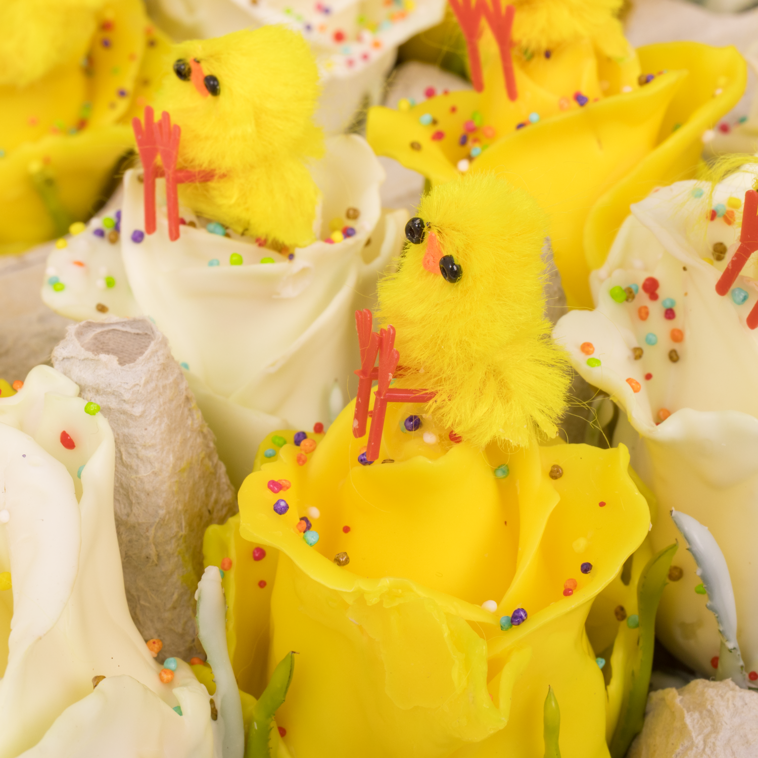 Rose wachs mix Choco Ostern Eier duftend