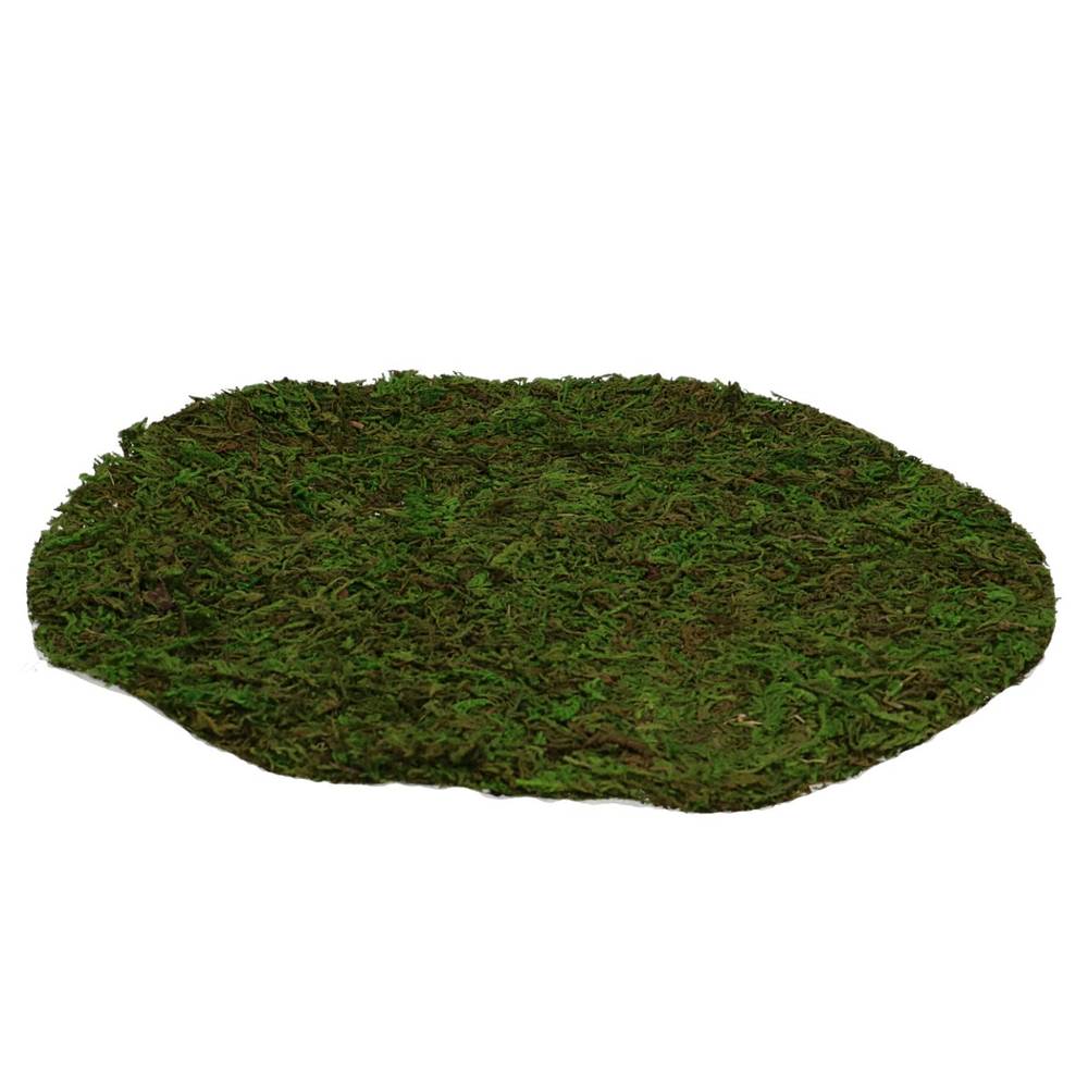 Trocken Moos Sheet Rund D25cm