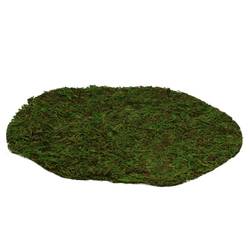 Trocken Moos Sheet Rund D25cm