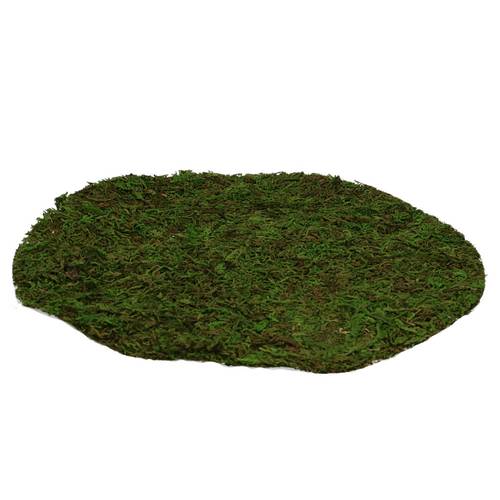 Trocken Moos Sheet Rund D25cm