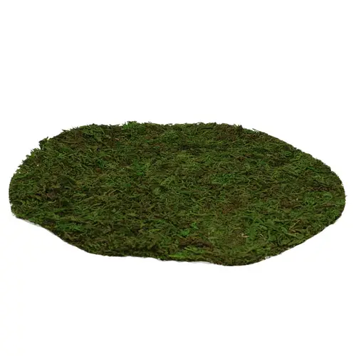 Trocken Moos Sheet Rund D25cm