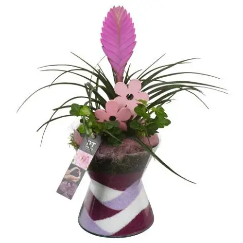 Frühling.Arr PTIG6879 T15 H040
