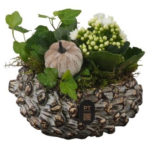 Kal.Arr PTHI3275 Herbst T16 H016