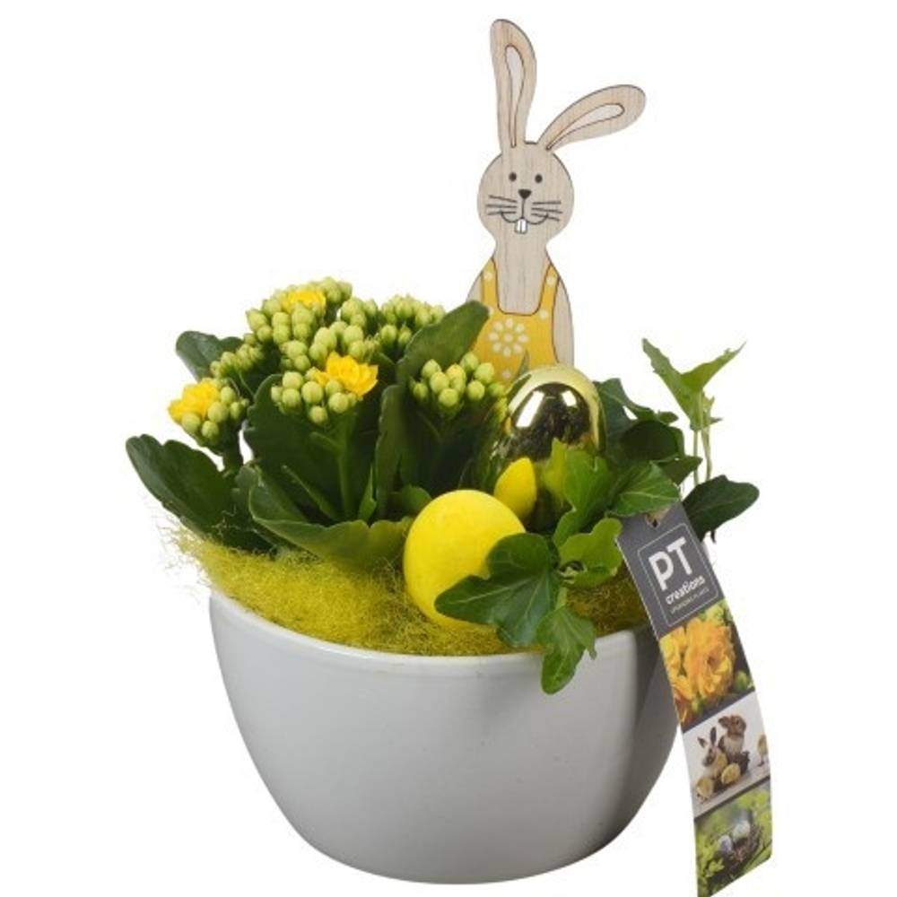Kal.Arr PTPB6532 Ostern T14 H022