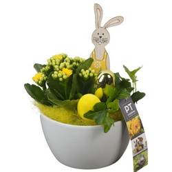 Kal.Arr PTPB6532 Ostern T14 H022