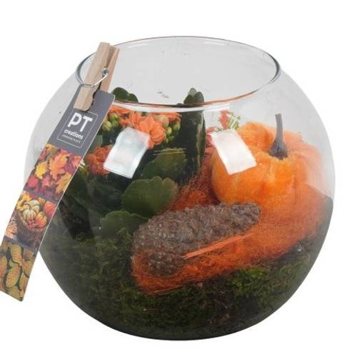 Kal.Arr PTHG3376 Herbst T16 H018