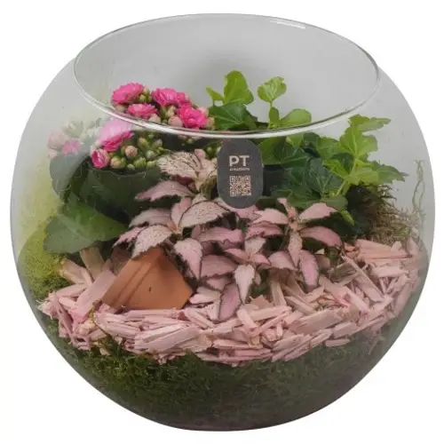 Kal.Arr PTIG2618 T20 H017