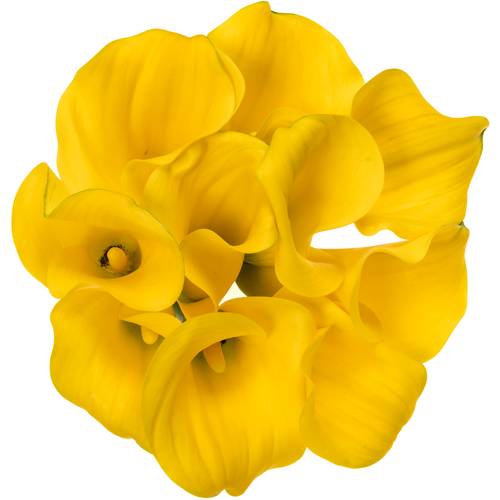 Calla gelb Sunny art 60cm