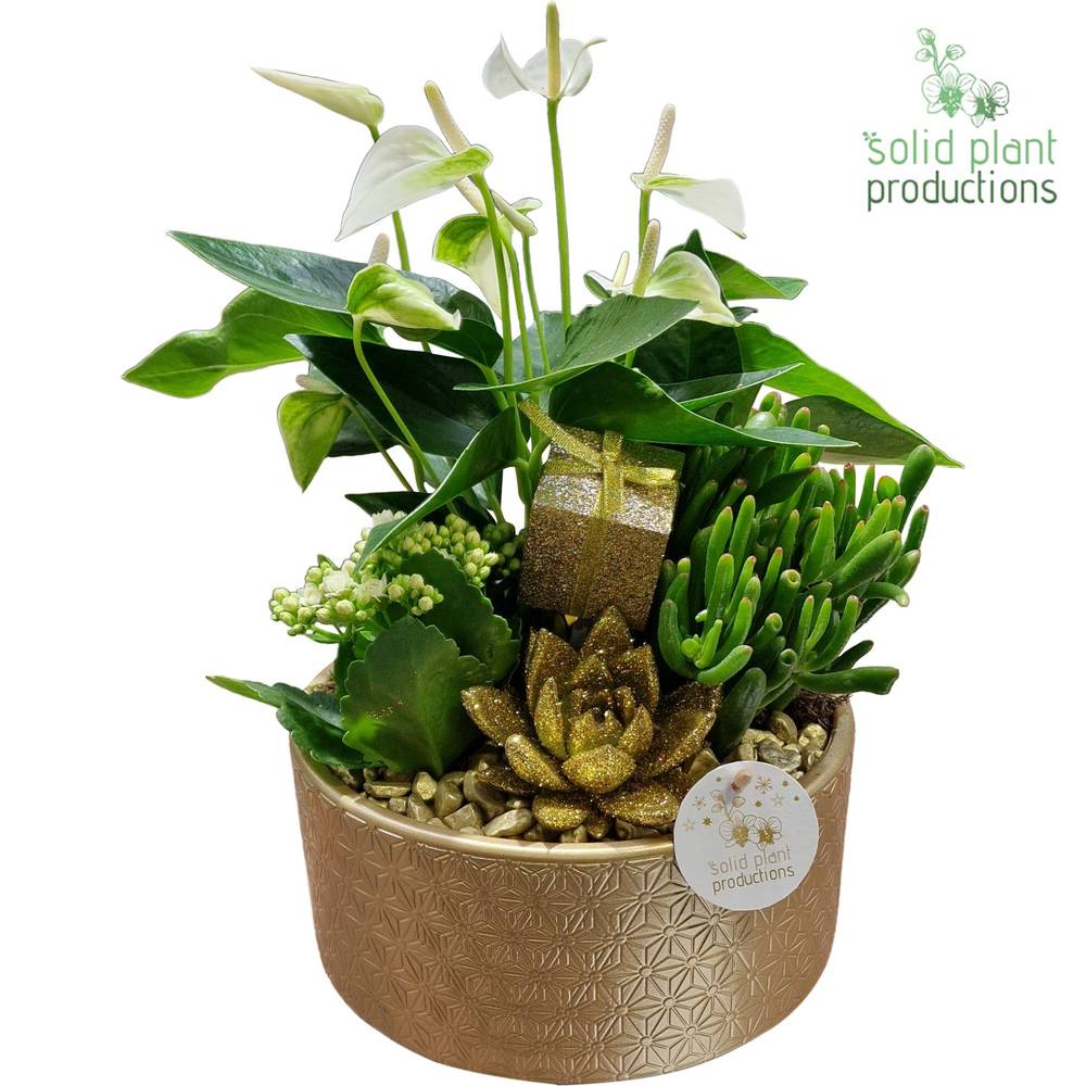 Anth.Arr AE004 Go Weihnachten T22 H042