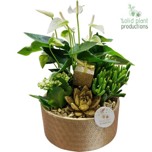 Anth.Arr AE004 Go Weihnachten T22 H042