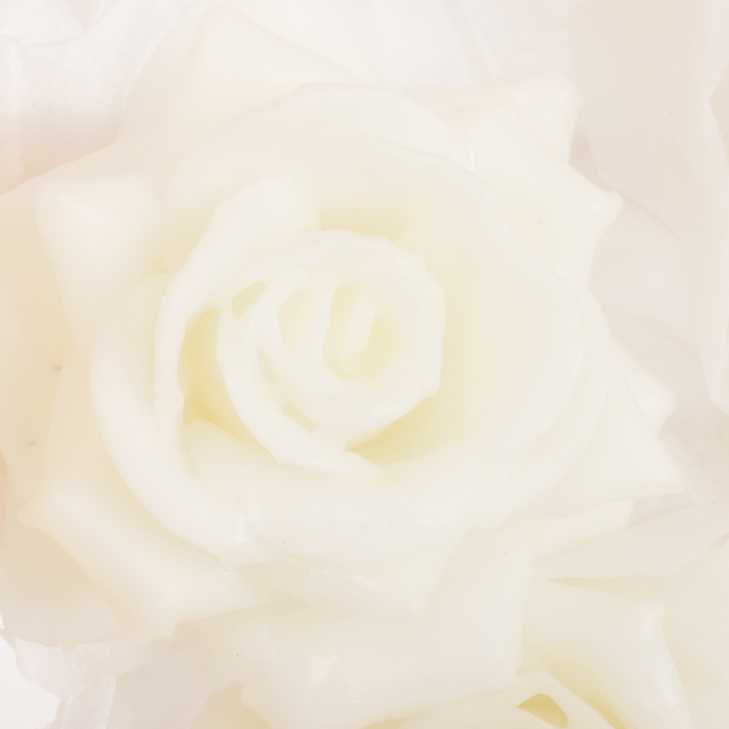 Seiden Wachs Rose im Kiste weiss D10-12cm