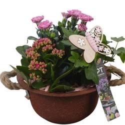 Garten.Arr PTPP6841 T18 H021