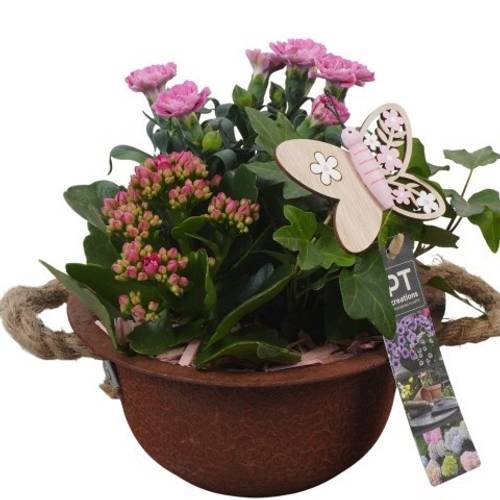 Garten.Arr PTPP6841 T18 H021