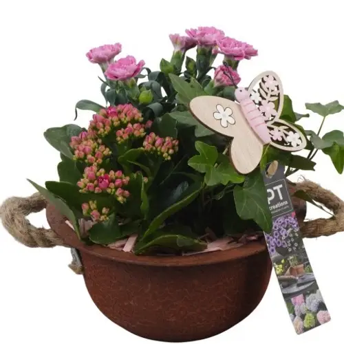 Garten.Arr PTPP6841 T18 H021