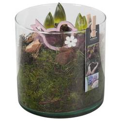 Hyazinthe.Arr PTHC9203 T15 H018