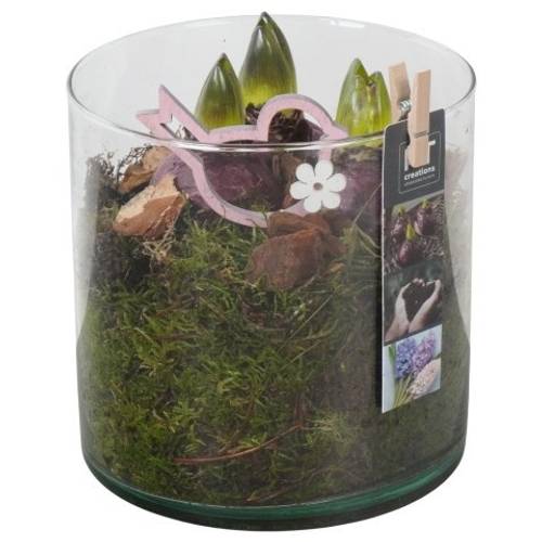 Hyazinthe.Arr PTHC9203 T15 H018