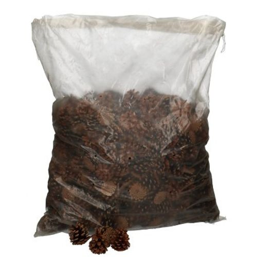 Tannenzapfen Osterreichers 10kg
