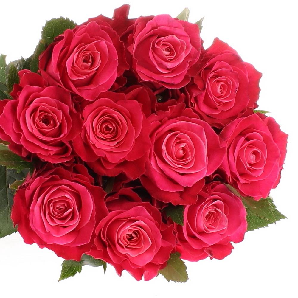 Rose lila Movie Star 40cm Muttertag