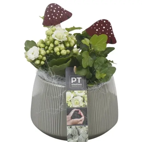 Kal.Arr PTHI5533 Herbst T14 H021
