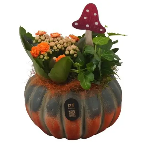 Kal.Arr PTHI3256 Herbst T14 H017