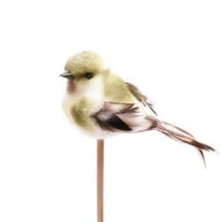 Vogel auf Stab Tommy grün L50cm D06.5cm