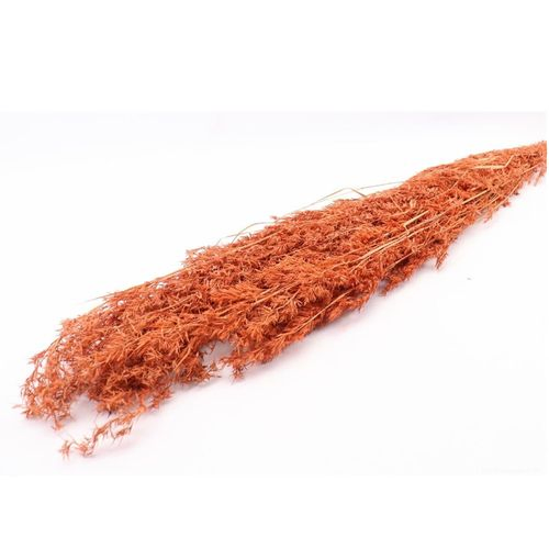 Trocken Beta Grass orange L100cm