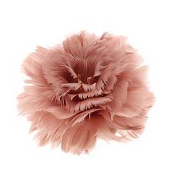 Klammer Feder Rose dunkel rosa D11cm