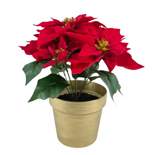 Seiden Weihnachtsstern im Topf rot/gold D36cm