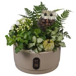 Kal.Arr PTHI3217 Herbst T19 H022