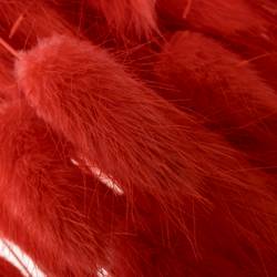 Lagurus rot Gebleicht 70cm 100Gramm