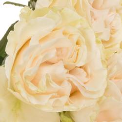 Rose creme Cotton X-Pression (Ec) 50cm X10