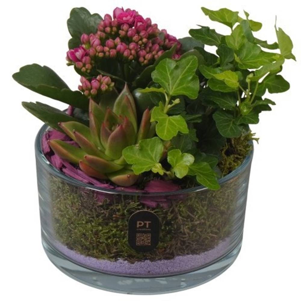 Kal.Arr PTIG2601 T14 H016