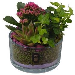 Kal.Arr PTIG2601 T14 H016