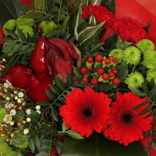 Strauß Amaryllis 20 Stiele 50cm