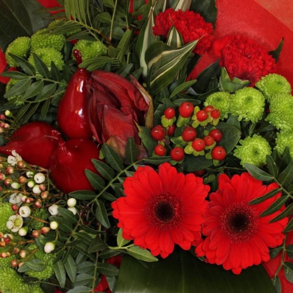 Strauß Amaryllis 20 Stiele 50cm