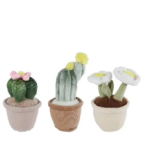 Plüsch Succulenten mix im Topf 25cm