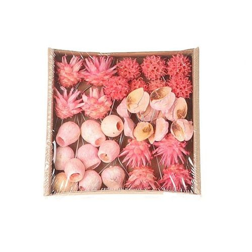 Trocken Exotic Mix/Draht rosa x35