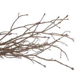Kastanie Zweig  80cm