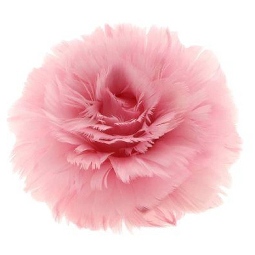 Clip Rose/Federn rosa D11cm H08cm