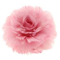 Clip Rose/Federn rosa D11cm H08cm
