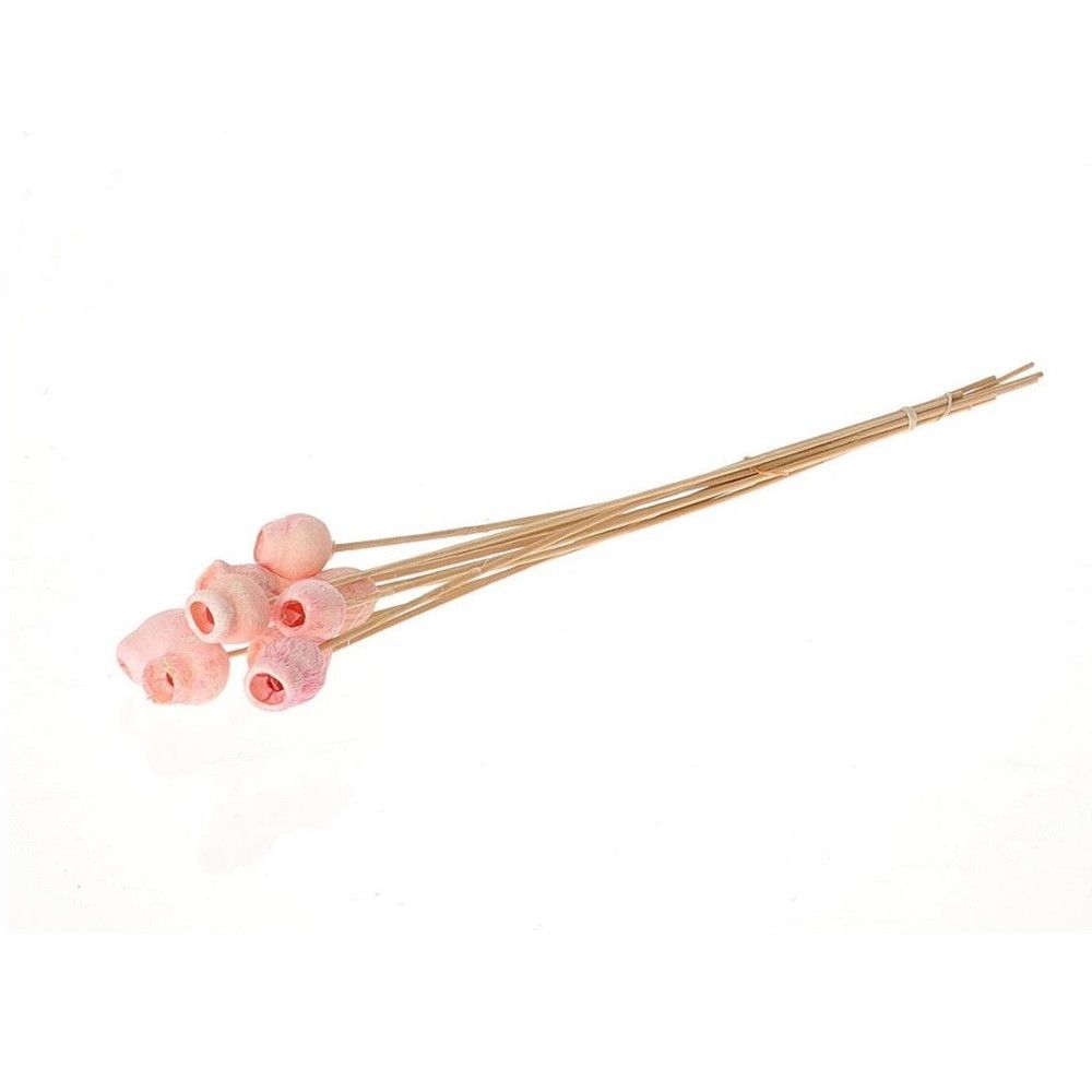 Trocken Bellgums auf Stab rosa D03cm H50cm