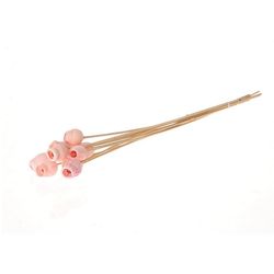 Trocken Bellgums auf Stab rosa D03cm H50cm
