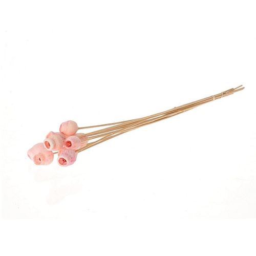 Trocken Bellgums auf Stab rosa D03cm H50cm