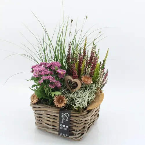 Garten.Arr-2504 Allerheiligen T23 H045