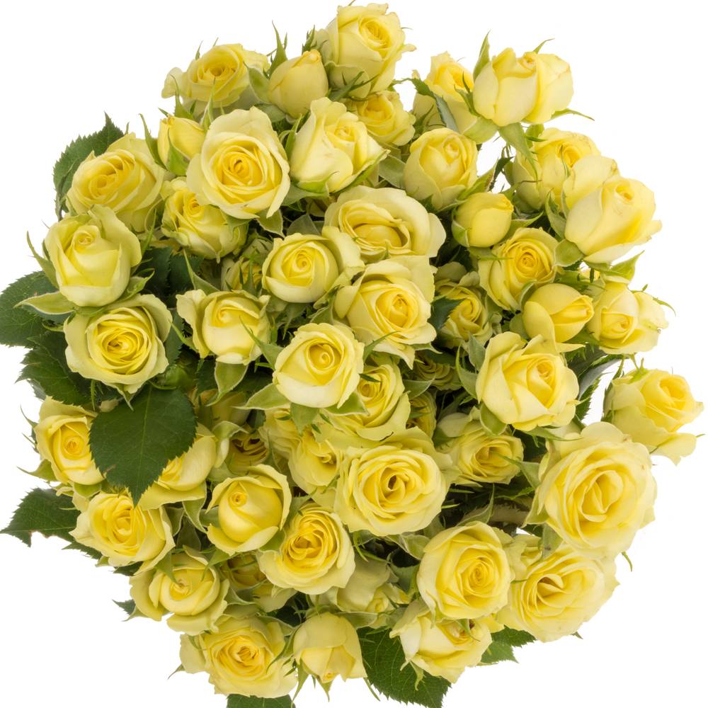 Rose verzweigt hell gelb Wedding Invite 4+Blüte 40cm