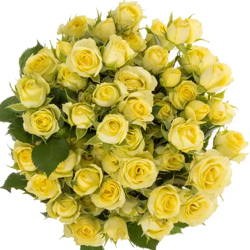 Rose verzweigt hell gelb Wedding Invite 4+Blüte 40cm