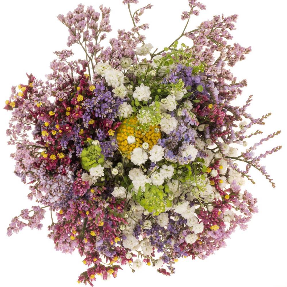 Sommerstrauss Crapedia/limonium 37cm